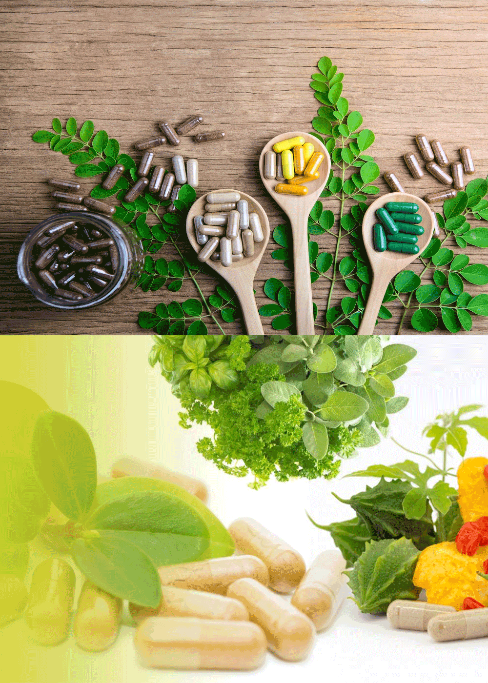 Pharmaceutical Manufacturing